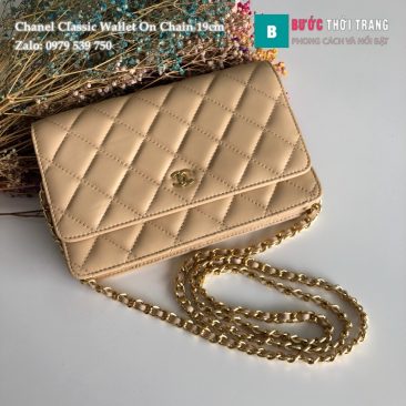 Túi Xách Chanel Classic Wallet On Chain siêu cấp màu da (1)